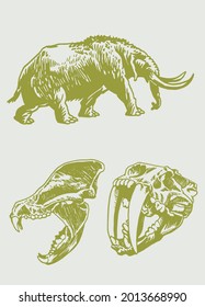 Graphical color set mammoth   saber  toothed tiger skull  vector illustration