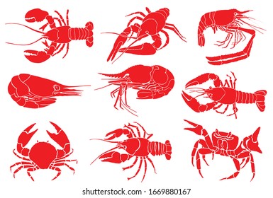 Graphical color set of sea food isolated on white background, vector illustration