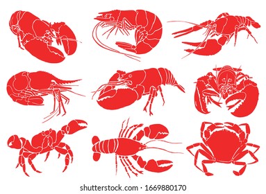 Graphical color set of sea food isolated on white background, vector illustration