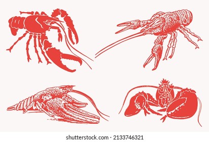 Graphical color set of sea-food, red lobsters collection