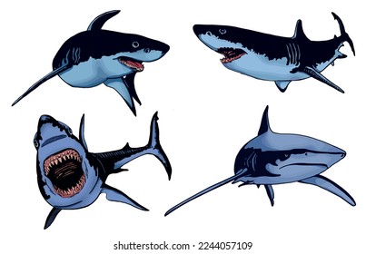 Graphical color set of sharks on white isolated, blue magalodons. Vector illustration,marine life