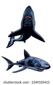 Graphical color set of sharks on white isolated, blue magalodons. Vector illustration,marine life
