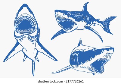 Graphical color set of sharks,vector blue elements , great white shark	