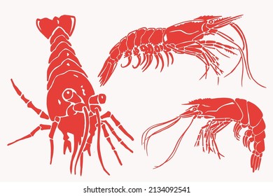 Graphical color  set of shrimps ,vector sea-food red elements