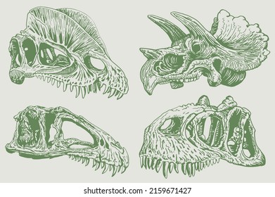 Graphical color set of skulls of dinosaurs  ,vector illustration, green fossils