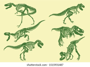 Graphical color set of tyrannosaurus skeletons ,vector illustration,pop art