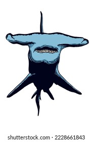 Graphical color shark on white isolated, blue magalodon. Vector illustration,marine life