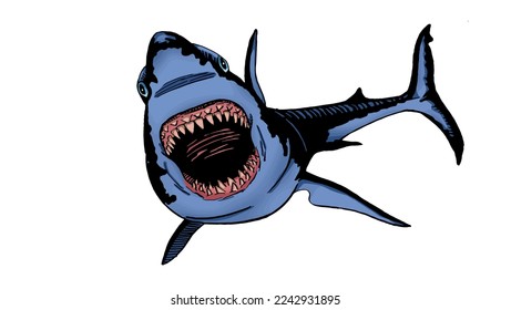 Graphical color shark on white isolated, blue magalodon. Vector illustration,marine life