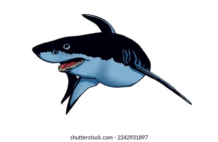 Graphical color shark on white isolated, blue magalodon. Vector illustration,marine life