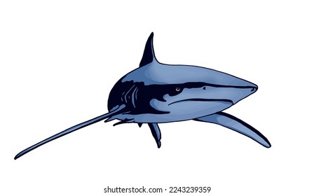 Graphical color shark on white isolated, blue magalodon. Vector illustration,marine life