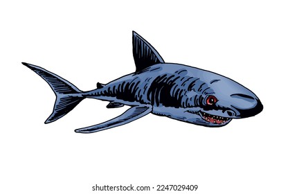 Graphical color shark on white isolated, blue magalodon. Vector illustration,marine life