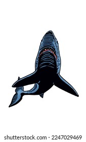 Graphical color shark on white isolated, blue magalodon. Vector illustration,marine life
