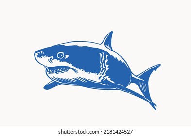 Graphical color  shark with sharp teeth isolated on white.Marine life habitant