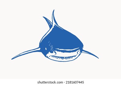 Graphical color  shark with sharp teeth isolated on white.Marine life habitant