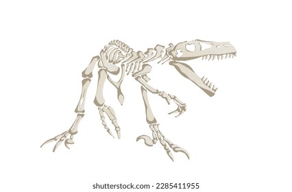 Esqueleto de color gráfico de raptor aislado en blanco, ilustración vectorial, paleonthología