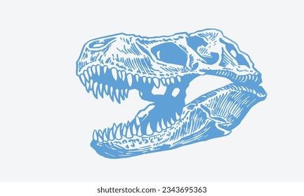 Graphical color  skull of tyrannosaurus ,vector illustration, fossils,tattoo design