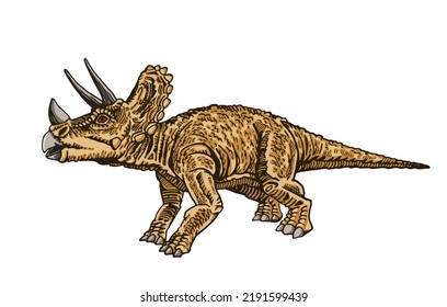 Graphical color triceratops isolated on white , illustration for printing,tattoo,design.Vector dinosaur