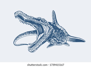 Graphical color Tylosaurus isolated on white ,vector illustration, water dinosaur