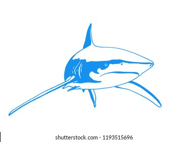 Graphical color white shark isolated on white,vector tattoo illustration