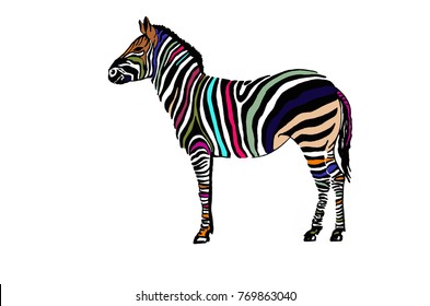 Graphical color zebra isolated on white background,vector illustration