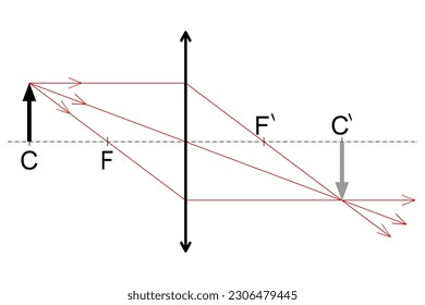 Graphical construction of the image of an object placed in the center of the optical surface of a conjunct lens