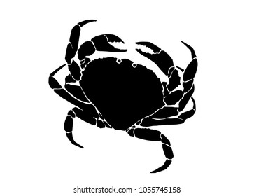 Graphical  crab isolated on white background,vector sea-food illustration,tattoo