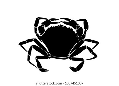 Graphical crab isolated on white background,vector sea-food illustration