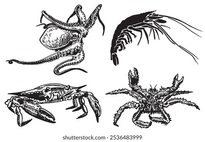 Graphical crab,octopus and shrimp on white background,vector illustration, seafood	