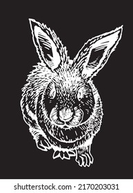 Graphical cute bunny sitting isolated on black,vector engraved element, fluffy pet 