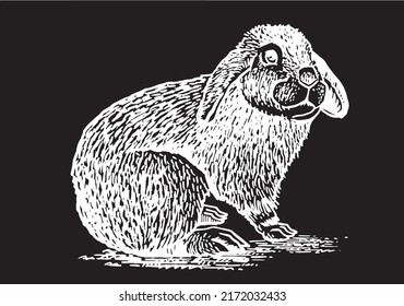 Graphical cute bunny sitting isolated on black,vector element, fluffy pet 