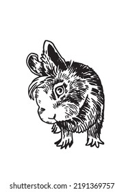 Graphical cute rabbit isolated on white background,vector illustration. Easter bunny element,symbol of 2023 new year