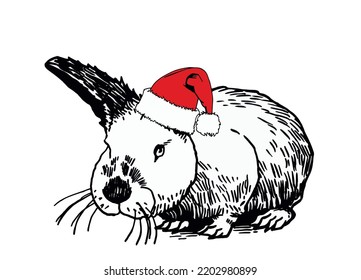 Graphical cute rabbit in Santa Claus hat isolated on white background,vector illustration. Christmas bunny element,symbol of 2023 new year 
