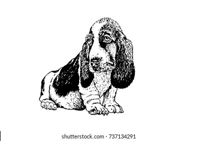 Graphical dachshund dog sitting isolated on white background,vector hand-painted illustration