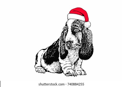 Graphical dachshund dog sitting in Santa Claus hat isolated on white background,vector new year illustration