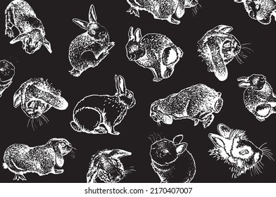 Graphical design with bunnies on black, vector illustration for backgrounds,patterns , covers. Typography design with funny fluffy pets