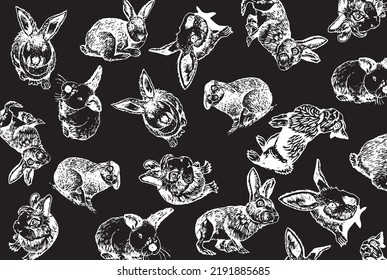 Diseño gráfico con conejillos en negro, ilustración vectorial para fondos, patrones , cubiertas. Diseño de tipografía con mascotas divertidas y esponjosas