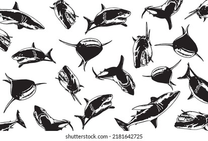 Diseño gráfico con tiburones, ilustración vectorial para fondos, patrones , cubiertas. Diseño tipográfico con grandes tiburones blancos