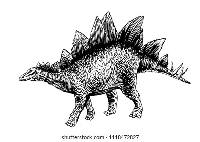Graphical dinosaur isolated on white ,vector stegosaurus ,tattoo