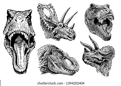 Graphical dinosaur portraits isolated , vector illustration