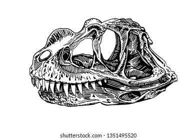Graphical dinosaur skull isolated on white background,vector sketchy illustration,tattoo
