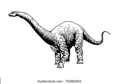 Graphical  diplodocus isolated on white background,vector illustration