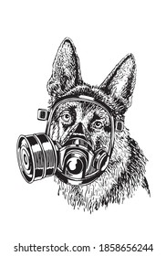 Graphical dog in mask isolated on white background, vector illustration