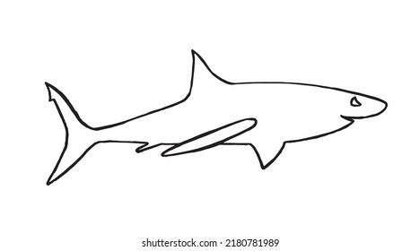 Graphical Doodle Drawing Shark Isolated On Stock Vector (Royalty Free ...
