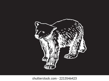 Graphical drawing of polar bear isolated on black,vector engraved illustration	