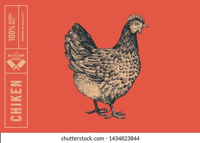 Graphical drawn chiken on red background. Hand-drawn retro picture with a poultry in an engraving style. Can be used for menu restaurants, for packaging in markets and shops. Vector vintage illustrati