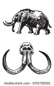 Graphical elements of mammoth and skull, paleontology set