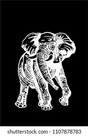 Graphical elephant isolated on black background,vector illustration for tattoo and printing