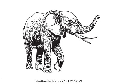 Free Free 271 Trunk Up Elephant Svg SVG PNG EPS DXF File