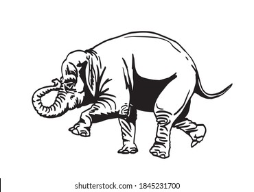 Graphical elephant running isolated on white background, vector illustrstion