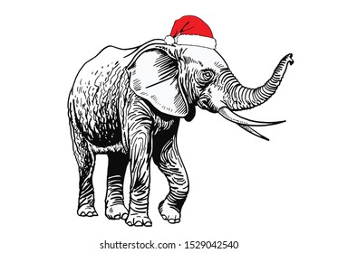 Graphical elephant in Santa Claus hat isolated on white background,vector new year illustration